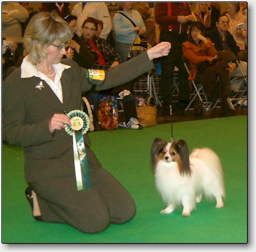 Chip winning Reserve Best Dog at Crufts, England, March 2006