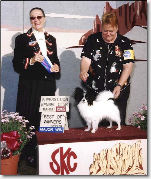 Rocke getting BW at the Superstition Kennel Club