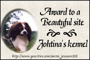 Johtina's Award