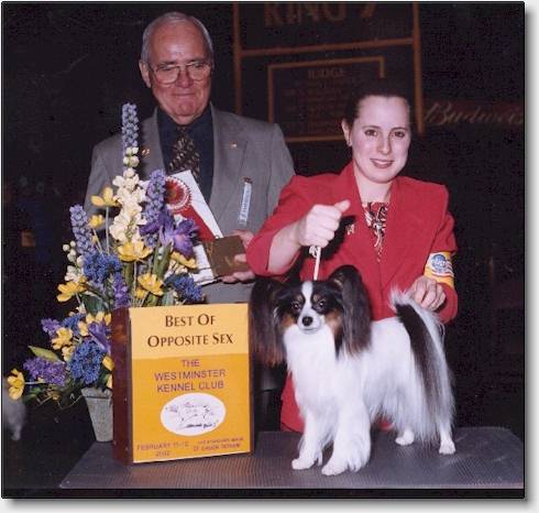 Star BOS at Westminster 2002